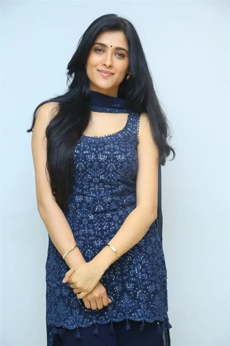 TELUGU GIRL GEETHIKA TIWARY AT AHIMSA MOVIE PRESS MEET 2